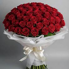 Букет 101 Красная роза Блэк Мэджик в Томмоте