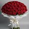 Букет 101 Красная роза Блэк Мэджик в Томмоте