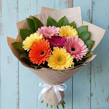 Букет цветов из:  Герберы #REPLACE_PRED# Томмоте