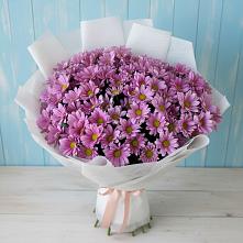 Букет цветов из:  Хризантемы в Томмоте