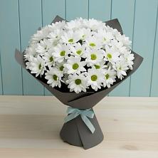 Букет цветов из:  Хризантемы в Томмоте