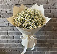 Букет цветов из:  Ромашки #REPLACE_PRED# Томмоте