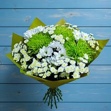 Букет цветов из:  Хризантемы #REPLACE_PRED# Томмоте