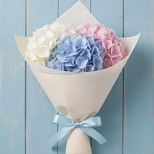Букет цветов из:  Гортензия в Томмоте