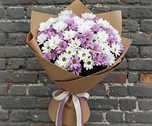 Букет цветов из:  Хризантемы в Томмоте