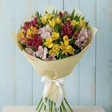 Букет цветов из:  Альстромерии в Томмоте