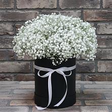 Цветочная композиция из Гипсофила в шляпной коробке в Томмоте