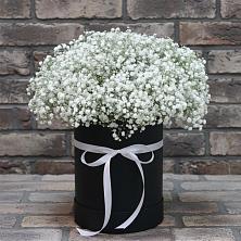 Цветочная композиция из Гипсофила в шляпной коробке в Томмоте