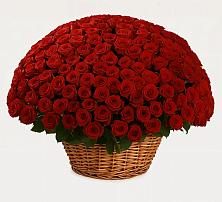 Премиум букет из: Розы в Томмоте