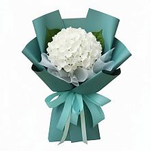 Букет цветов из:  Гортензия в Томмоте